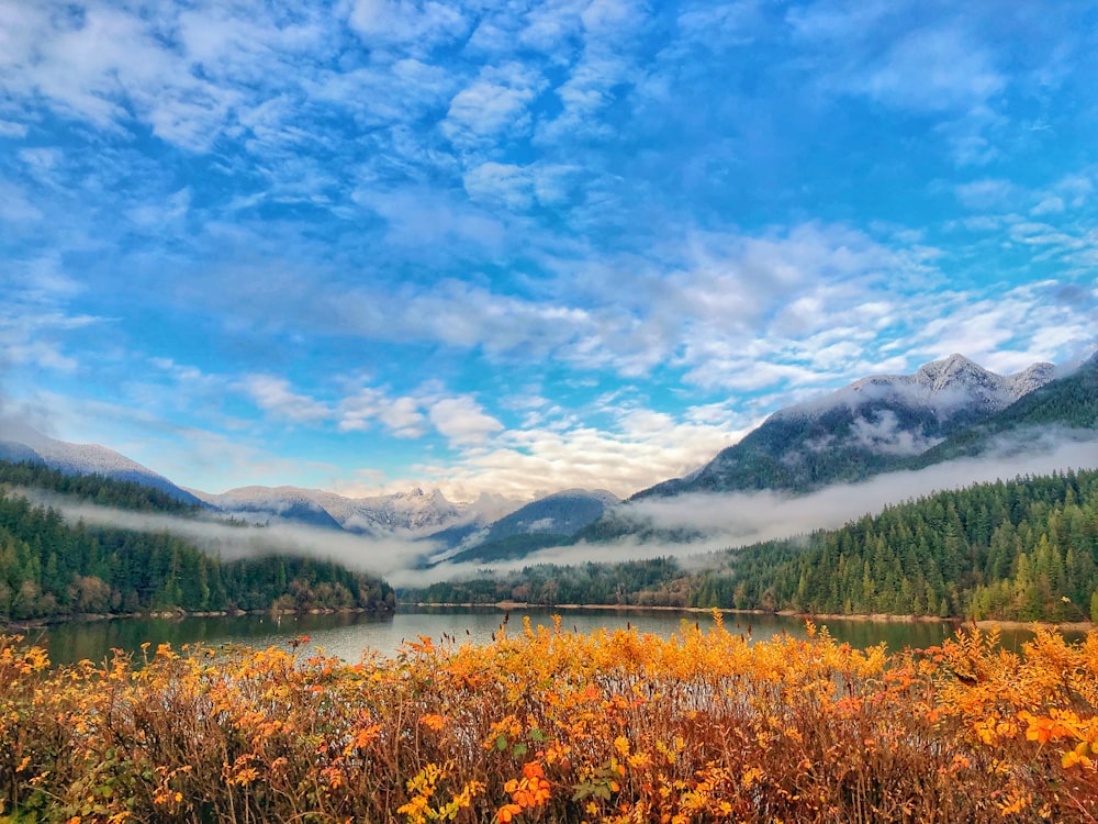 Vue du paysage sur le lac et les montagnes