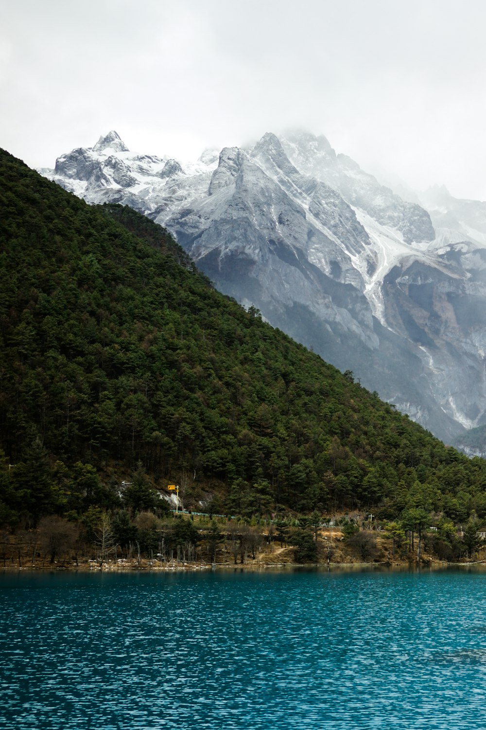 Árvore verde colina coberta perto do corpo de água com vista da montanha coberta de neve