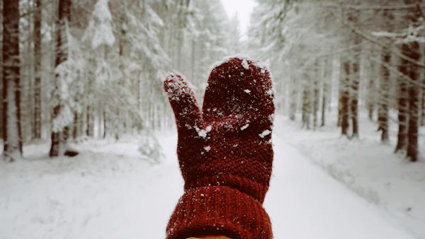 Hands in thick red wool mittens holding fresh snow outdoors in winter