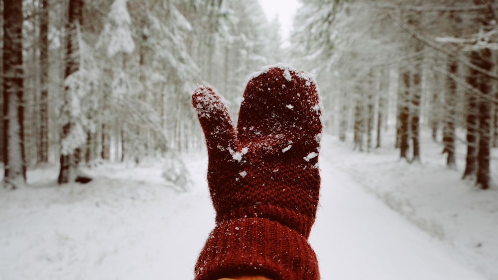 person wearing red mittens with snow while standing outside during winter time