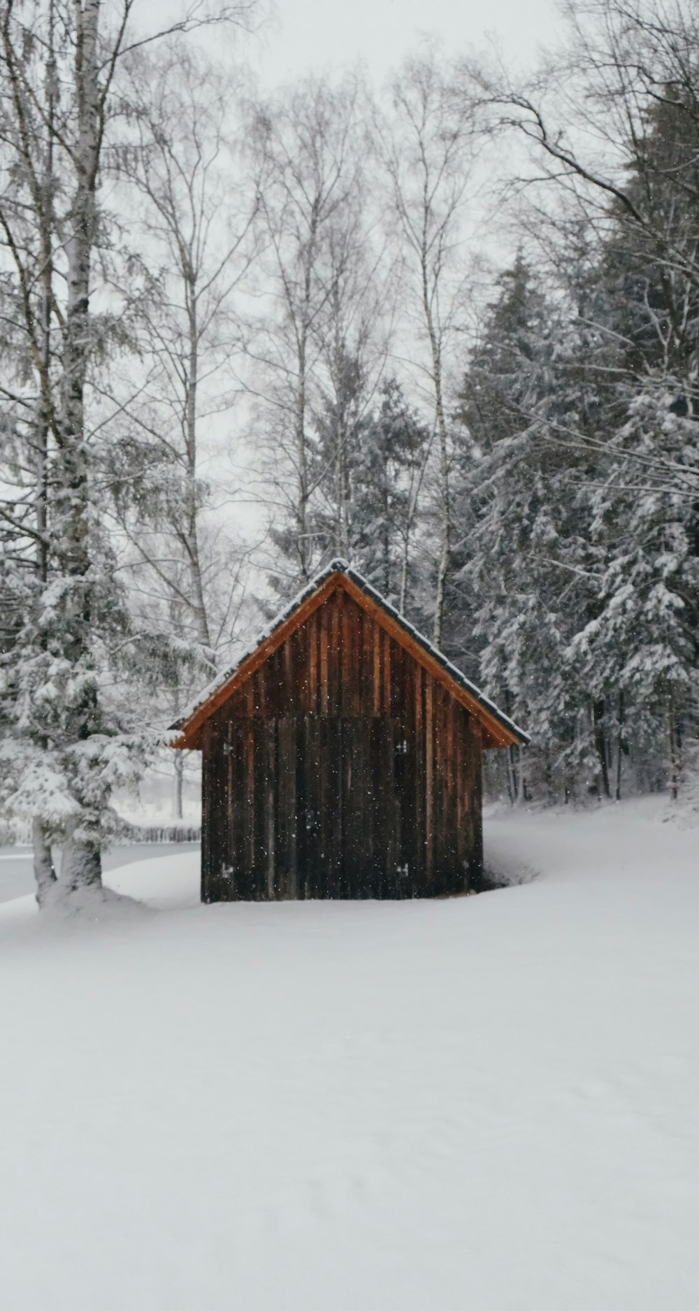 brown wooden house surrounded of trees during winter season