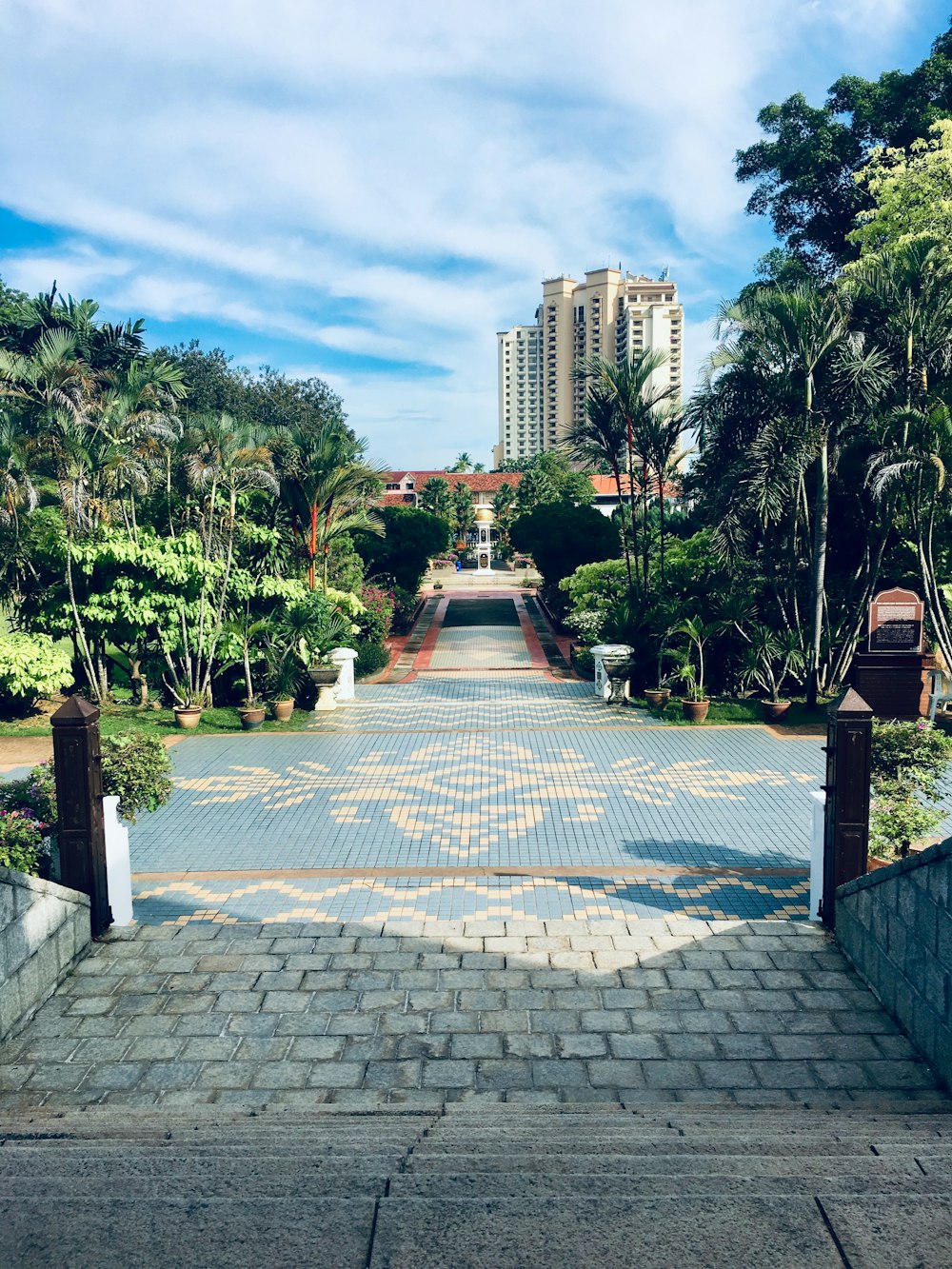 blue concrete pathway surrounded by trees