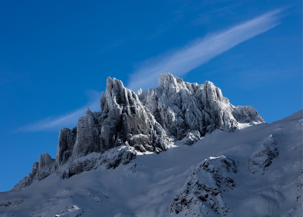 person showing glacier