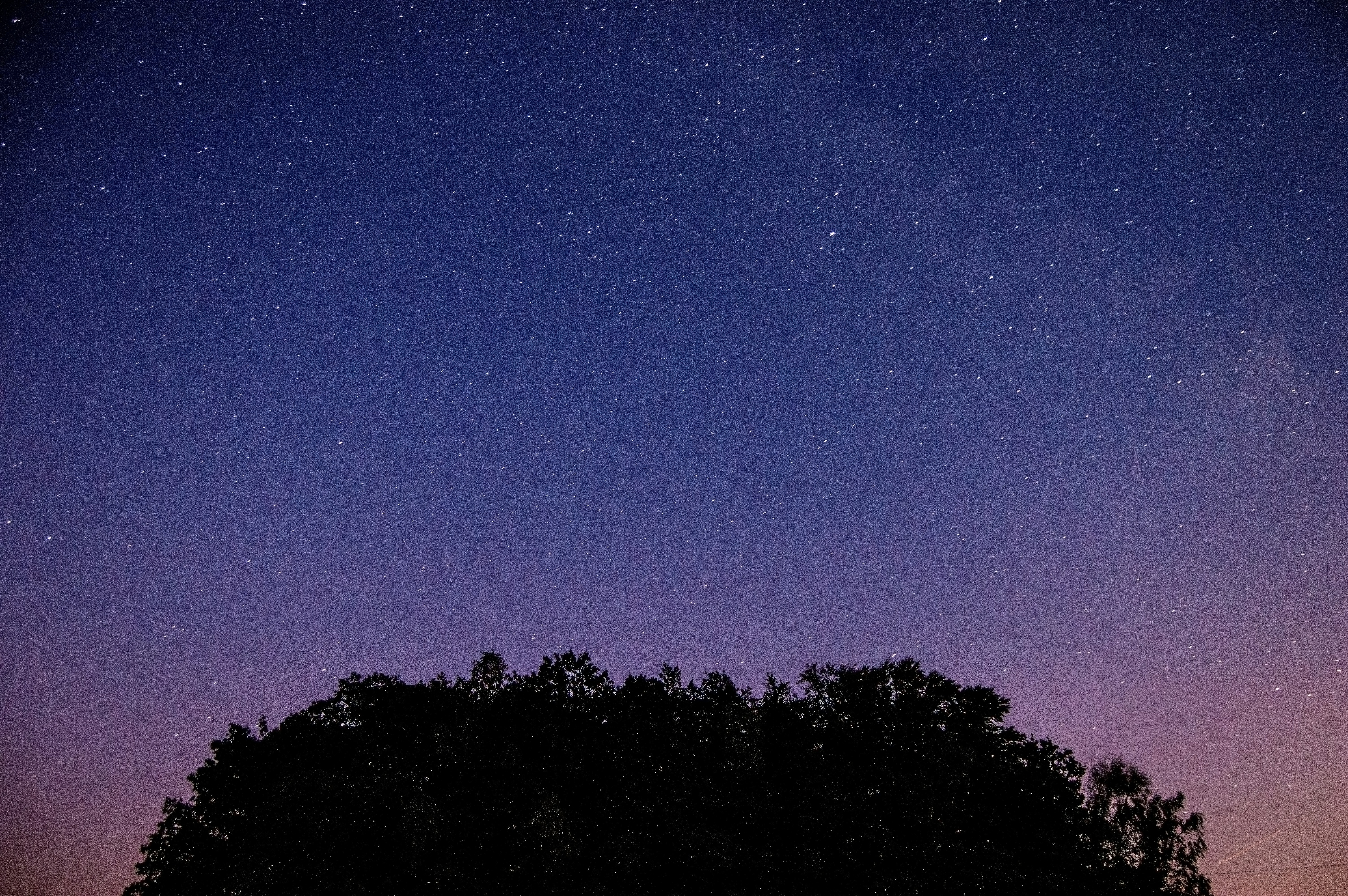 Photo by johanovskyt