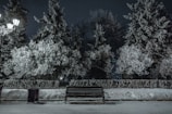 Winter snow gently falling on a quiet bench engraved with a tribute in Talkeetna’s town square.