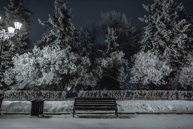 Winter snow gently falling on a quiet bench engraved with a tribute in Talkeetna’s town square.