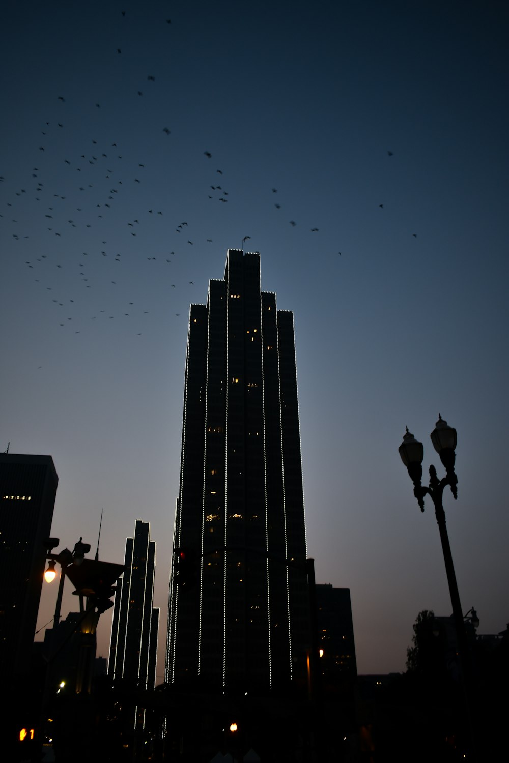 silhouette photo of buildings at night