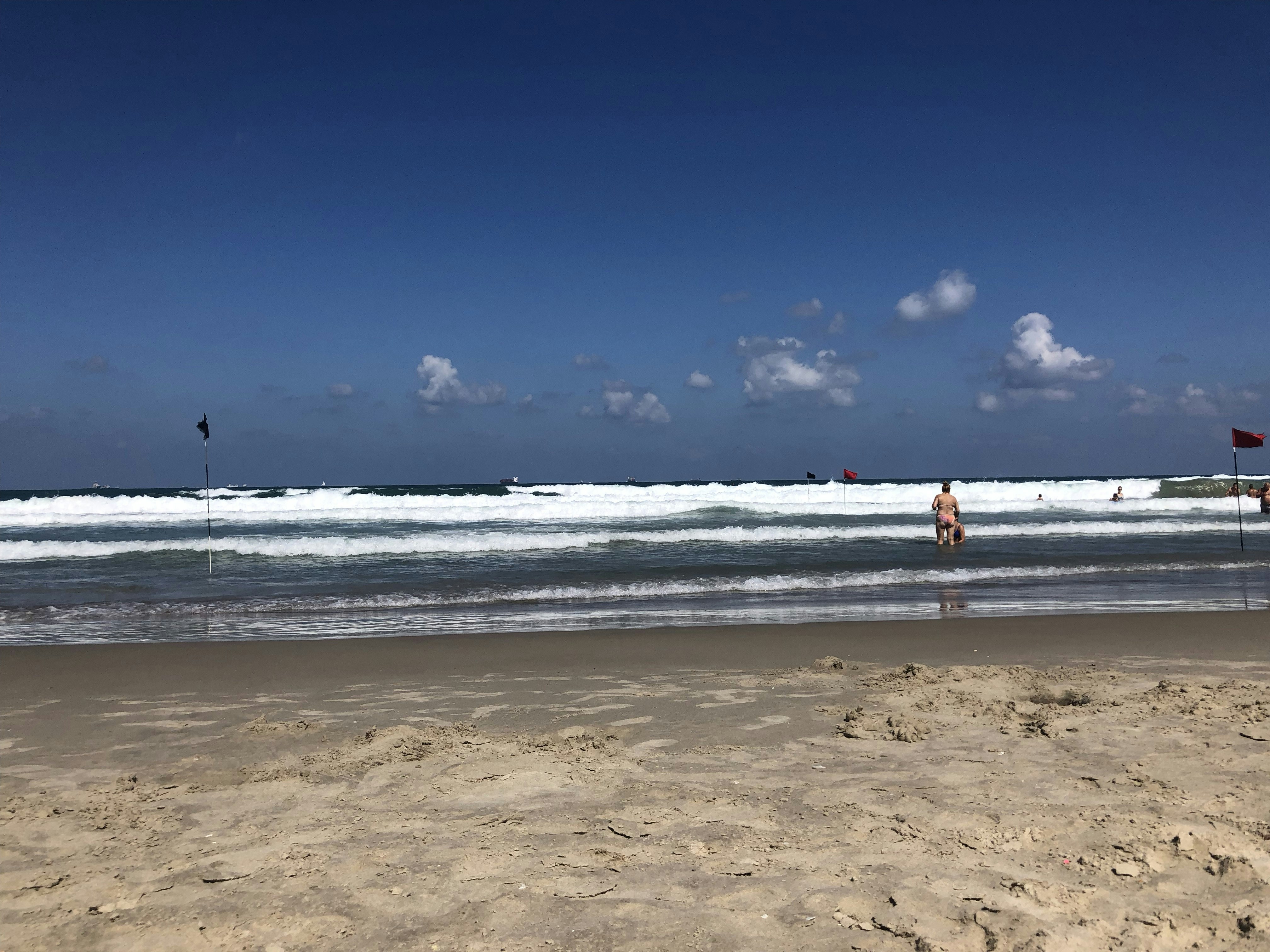 person standing on seashore during daytime