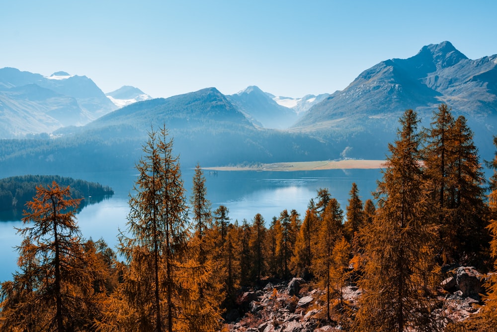 calm lake during daytime