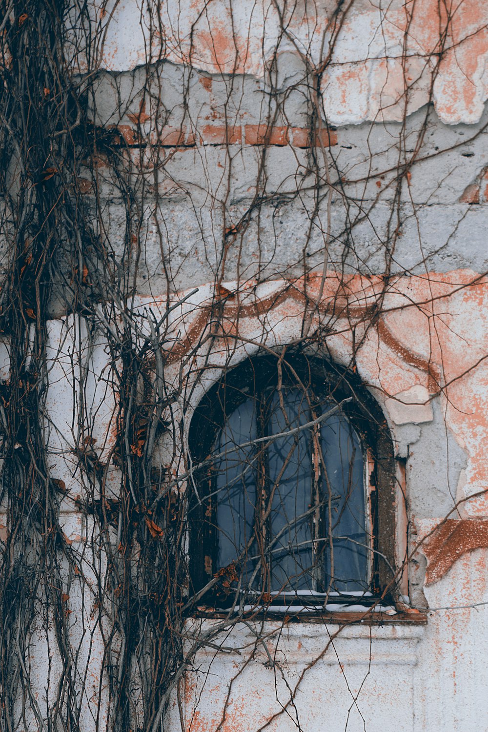 close-up photography of building window