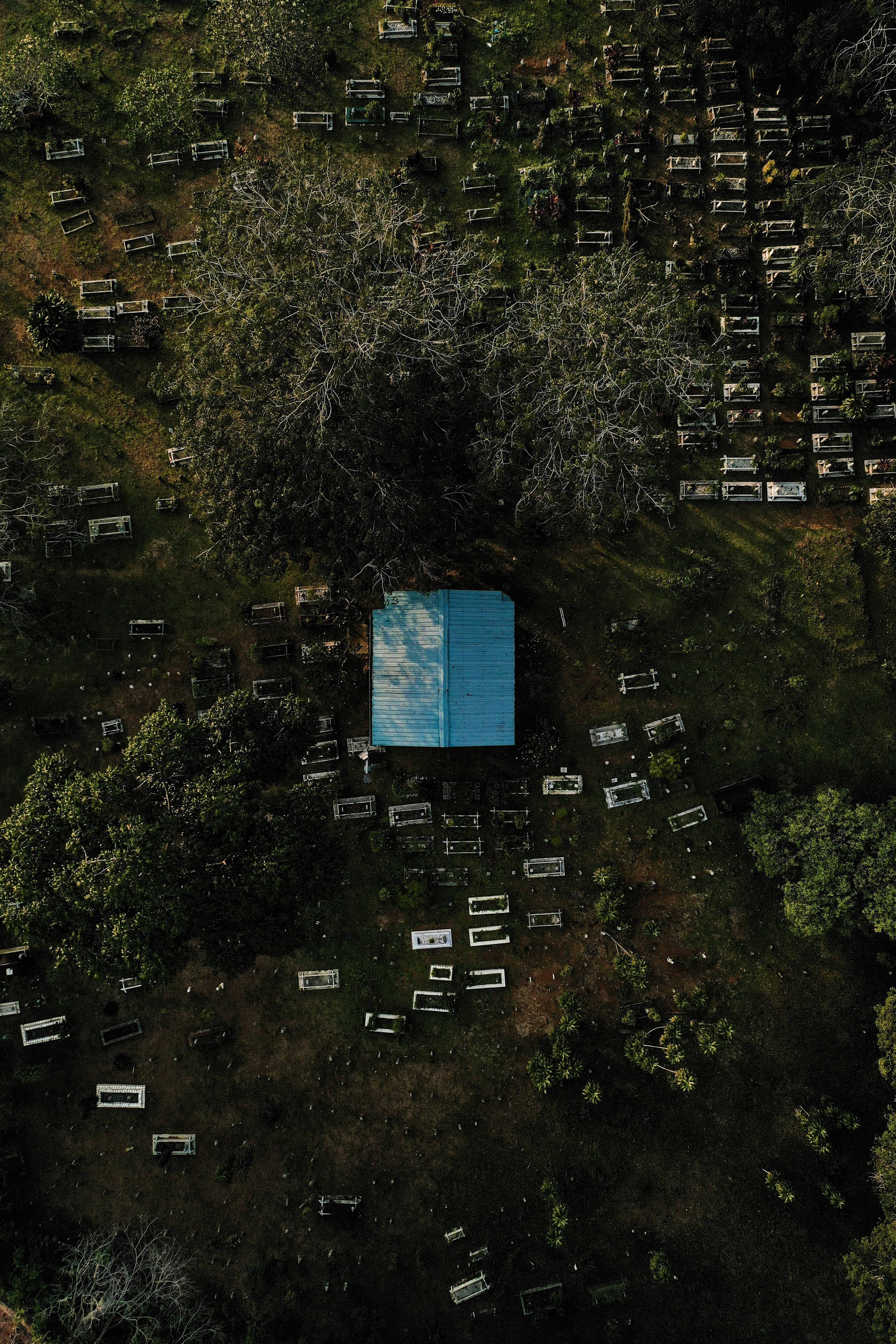 Vista aérea de la casa azul y los árboles