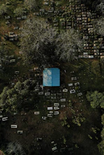 An aerial view of a cemetery with numerous arranged gravestones. At the center, a building with a bright blue roof stands out amidst the surrounding greenery and gravestones. Leafless trees cast shadows, creating an eerie and solemn atmosphere.