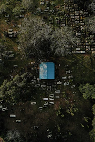 An aerial view of a cemetery with numerous arranged gravestones. At the center, a building with a bright blue roof stands out amidst the surrounding greenery and gravestones. Leafless trees cast shadows, creating an eerie and solemn atmosphere.
