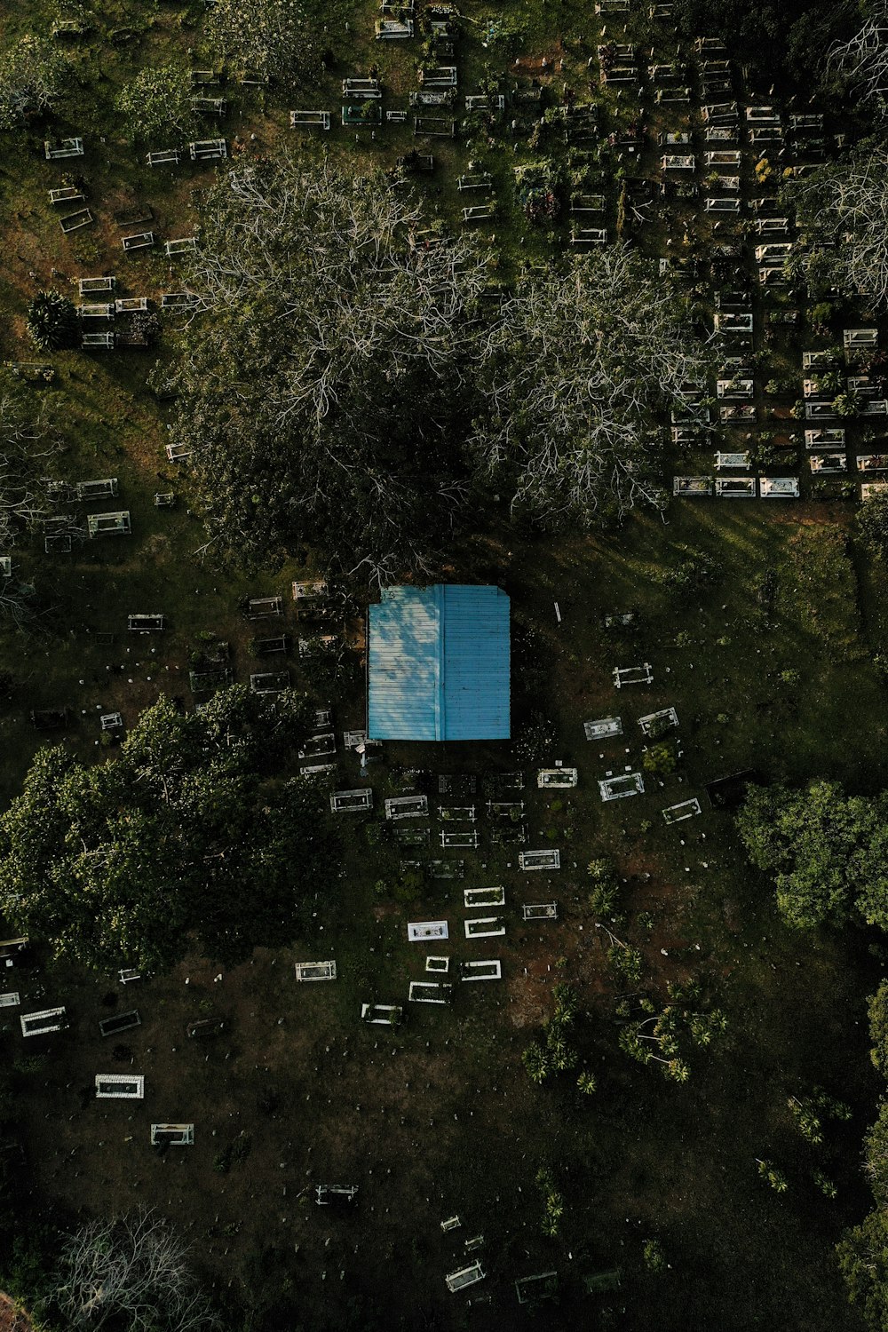 aerial view of blue house and trees
