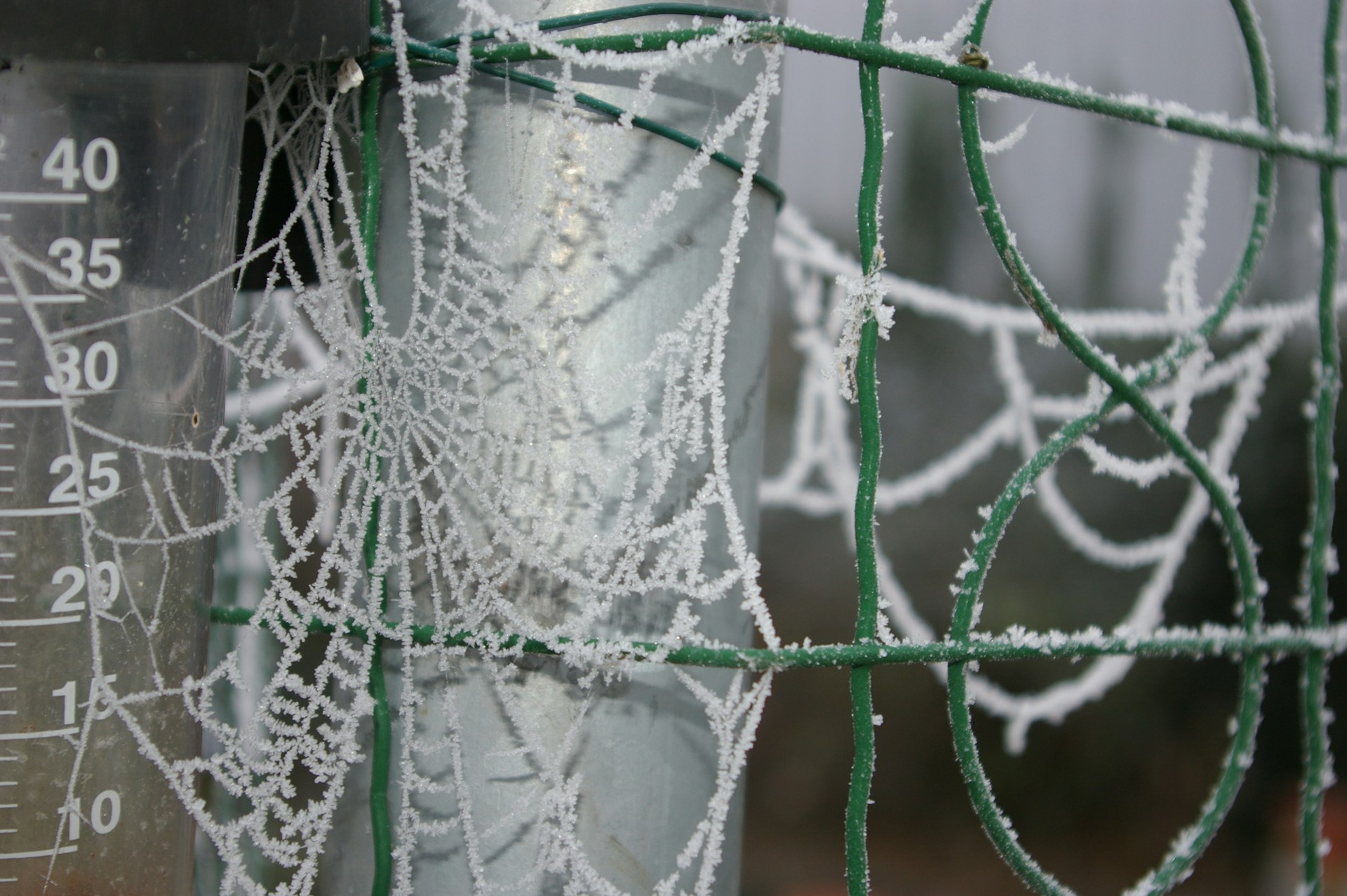 gray computer monitor