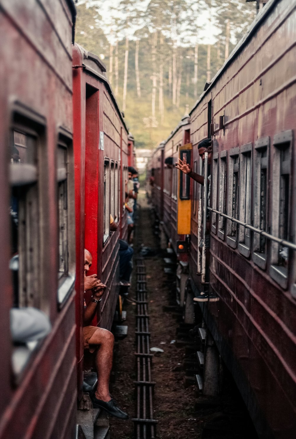 person seated on train