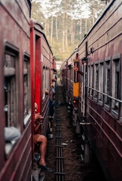 person seated on train