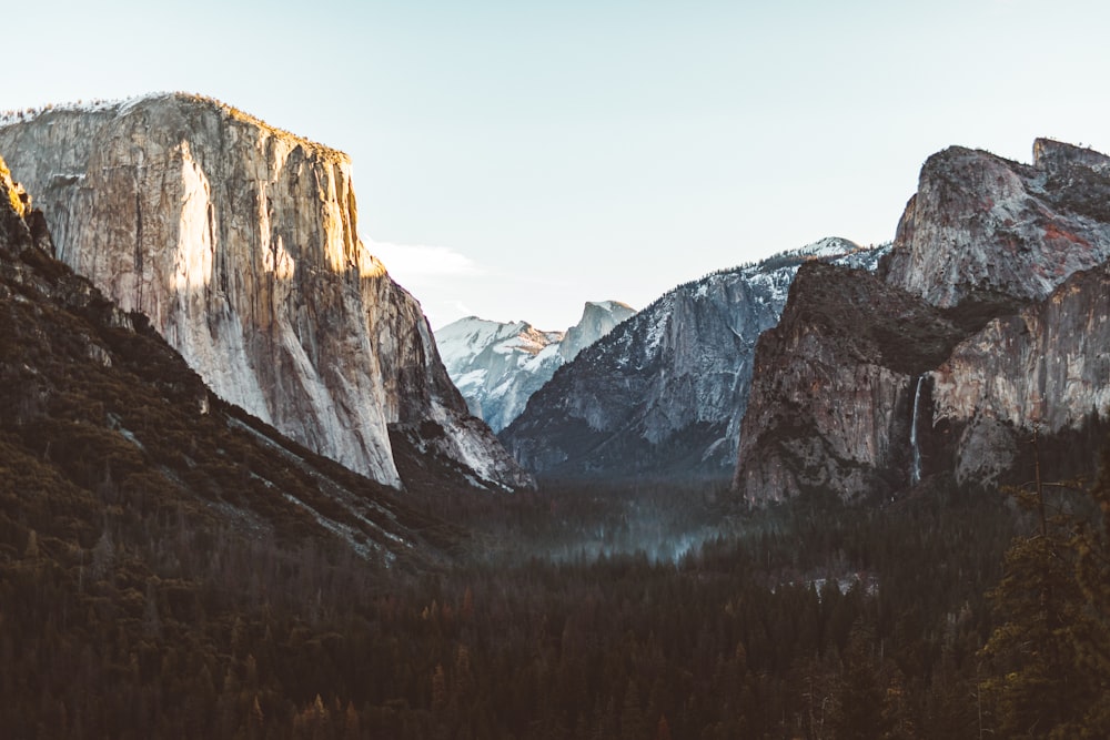 rocky mountain near forest view