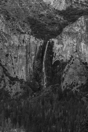 A dramatic black and white photograph captures a tall, narrow waterfall cascading down a rugged cliff face surrounded by dense forest. The textured rock formations and the dark foliage create a stark contrast, emphasizing the natural beauty and grandeur of the landscape.
