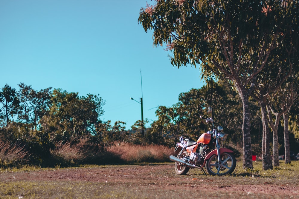 motorcycle parked near tree