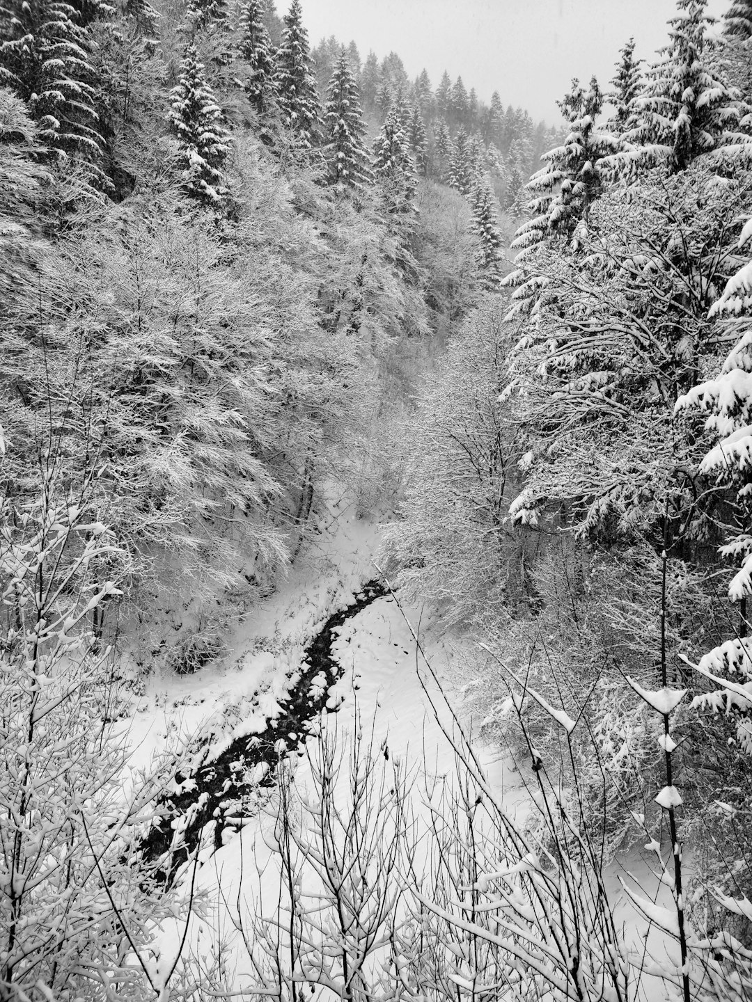 Watercourse photo spot Garneid 6 Obernberger See