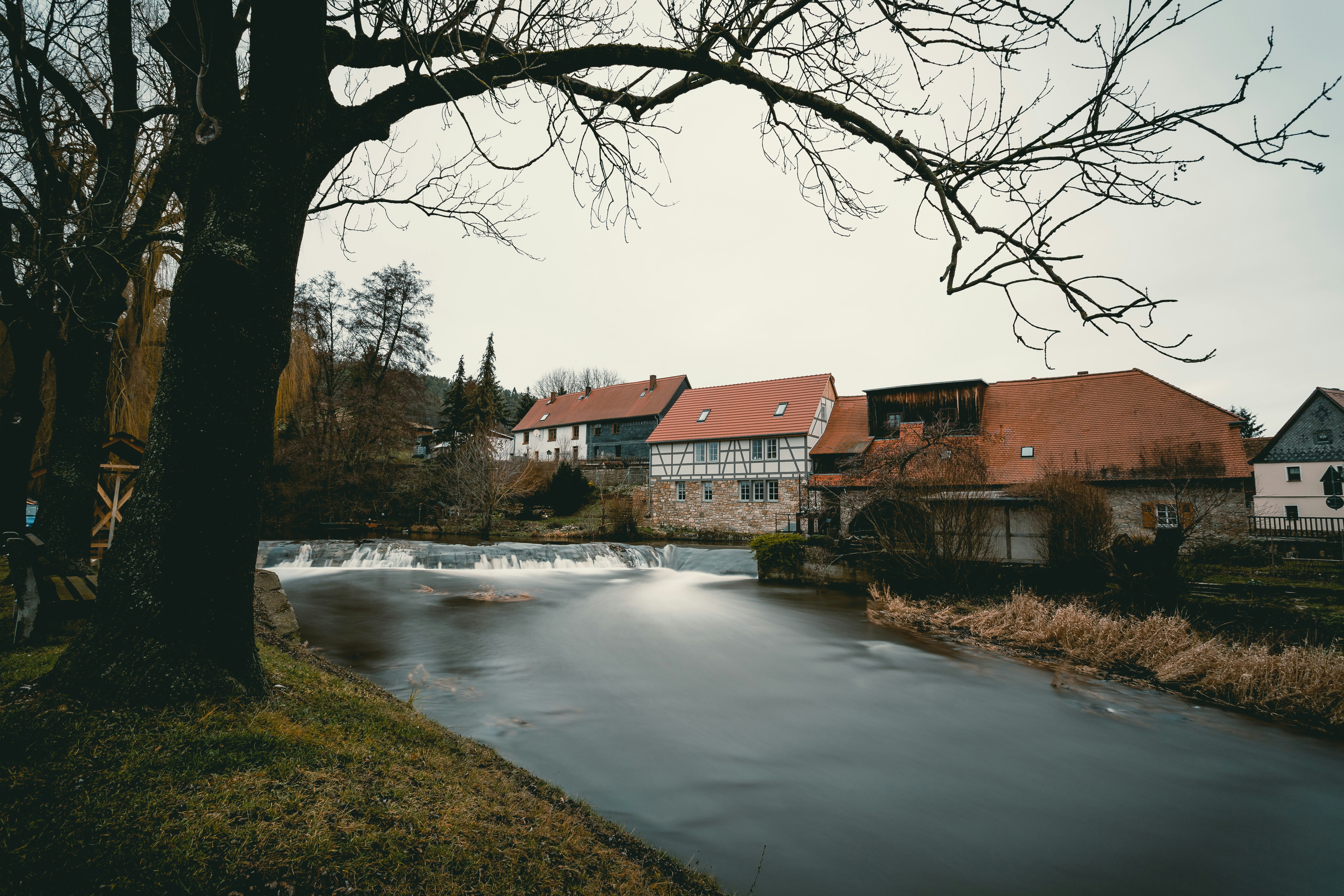 river between trees and house during daytime