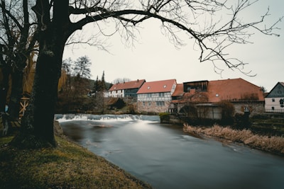 river between trees and house during daytime