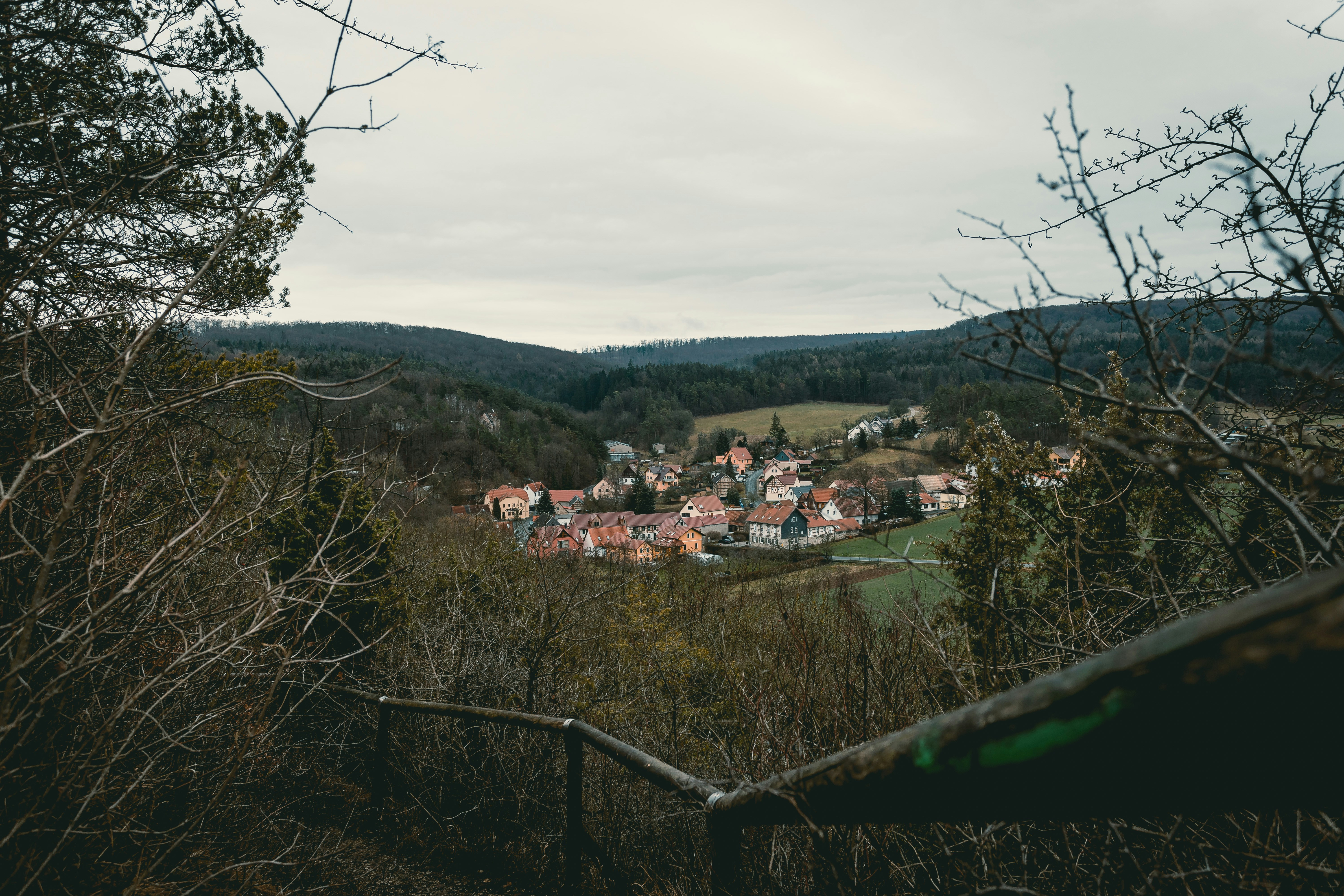 village near green trees during daytime