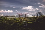A futuristic urban landscape with iconic large structures resembling flower-like trees and dome-shaped glass conservatories set against a backdrop of a cloudy sky. The scene is surrounded by lush greenery and a sprawling cityscape visible in the distance.