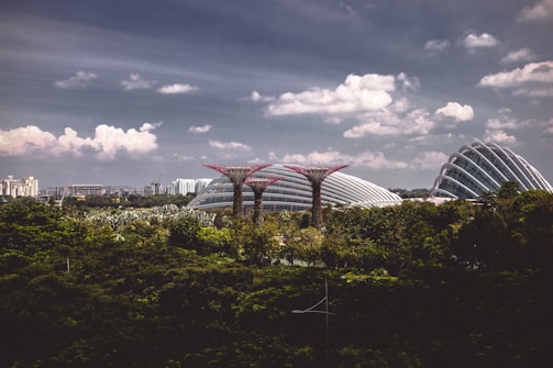 A futuristic urban landscape with iconic large structures resembling flower-like trees and dome-shaped glass conservatories set against a backdrop of a cloudy sky. The scene is surrounded by lush greenery and a sprawling cityscape visible in the distance.