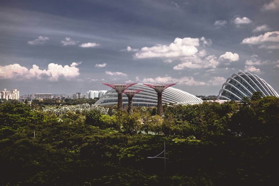 A futuristic urban landscape with iconic large structures resembling flower-like trees and dome-shaped glass conservatories set against a backdrop of a cloudy sky. The scene is surrounded by lush greenery and a sprawling cityscape visible in the distance.