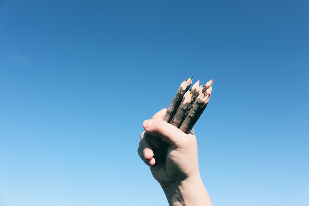 person holding brown wooden pencils