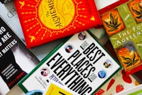 Several colorful books are arranged in a flat lay style. One book has a vibrant red cover with yellow sun and bird designs. Another is titled 'THE BEST PLACES FOR EVERYTHING' and features images in circular cutouts. Nearby, a green book features artwork of plants and animals, and another book has a black and white cover. The background includes a book with red strawberries.