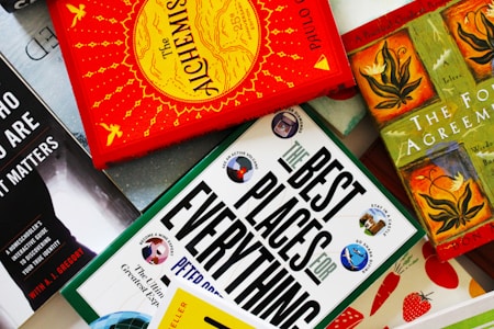 Several colorful books are arranged in a flat lay style. One book has a vibrant red cover with yellow sun and bird designs. Another is titled 'THE BEST PLACES FOR EVERYTHING' and features images in circular cutouts. Nearby, a green book features artwork of plants and animals, and another book has a black and white cover. The background includes a book with red strawberries.
