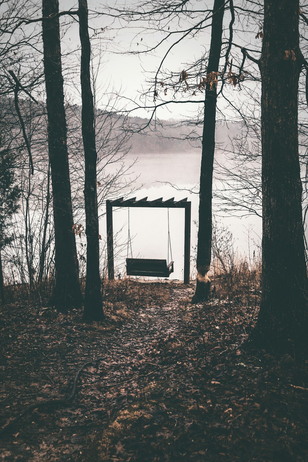 silhouette photography of bench swing under trees