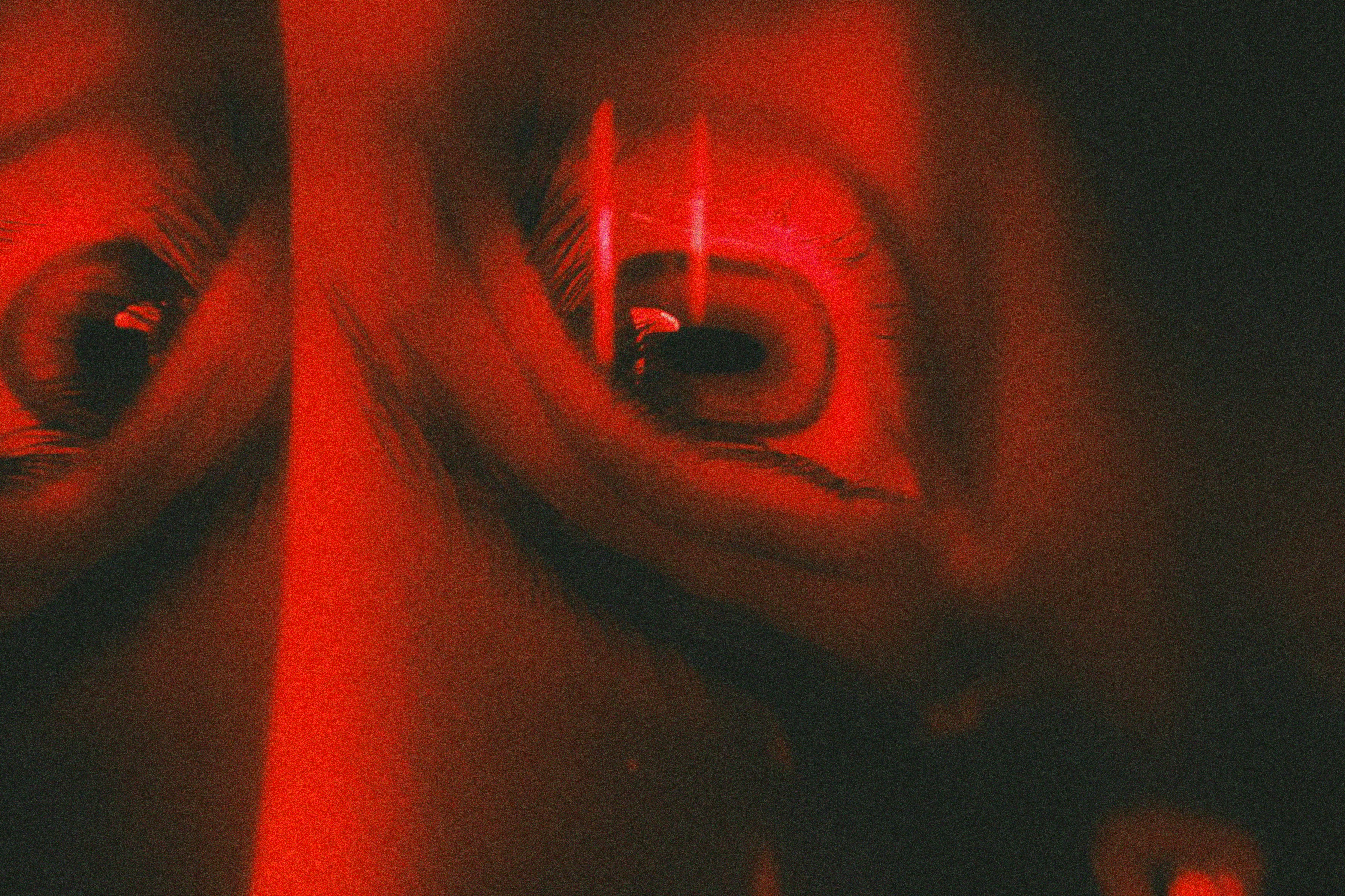 Sélection de Vins Rouges