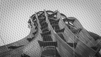 A black-and-white photograph capturing the structural framework of an architectural installation.