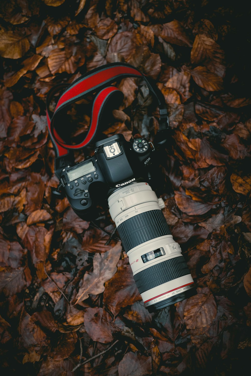 fotografia de close-up da câmera DSLR em preto e branco