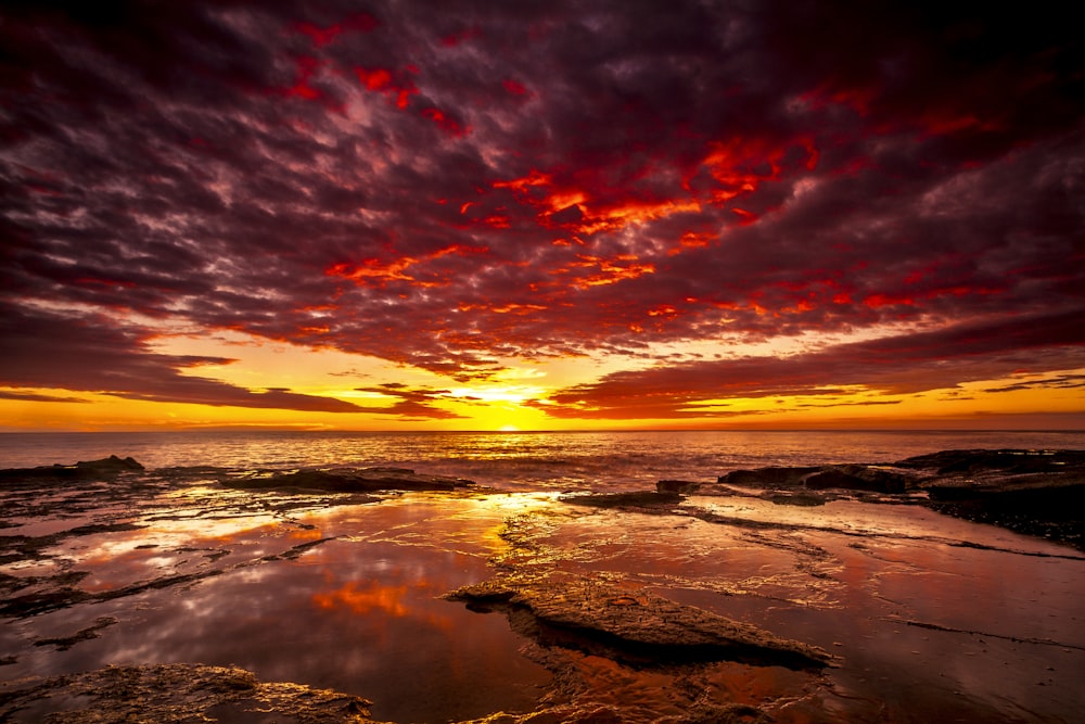 aerial view photography of sunset