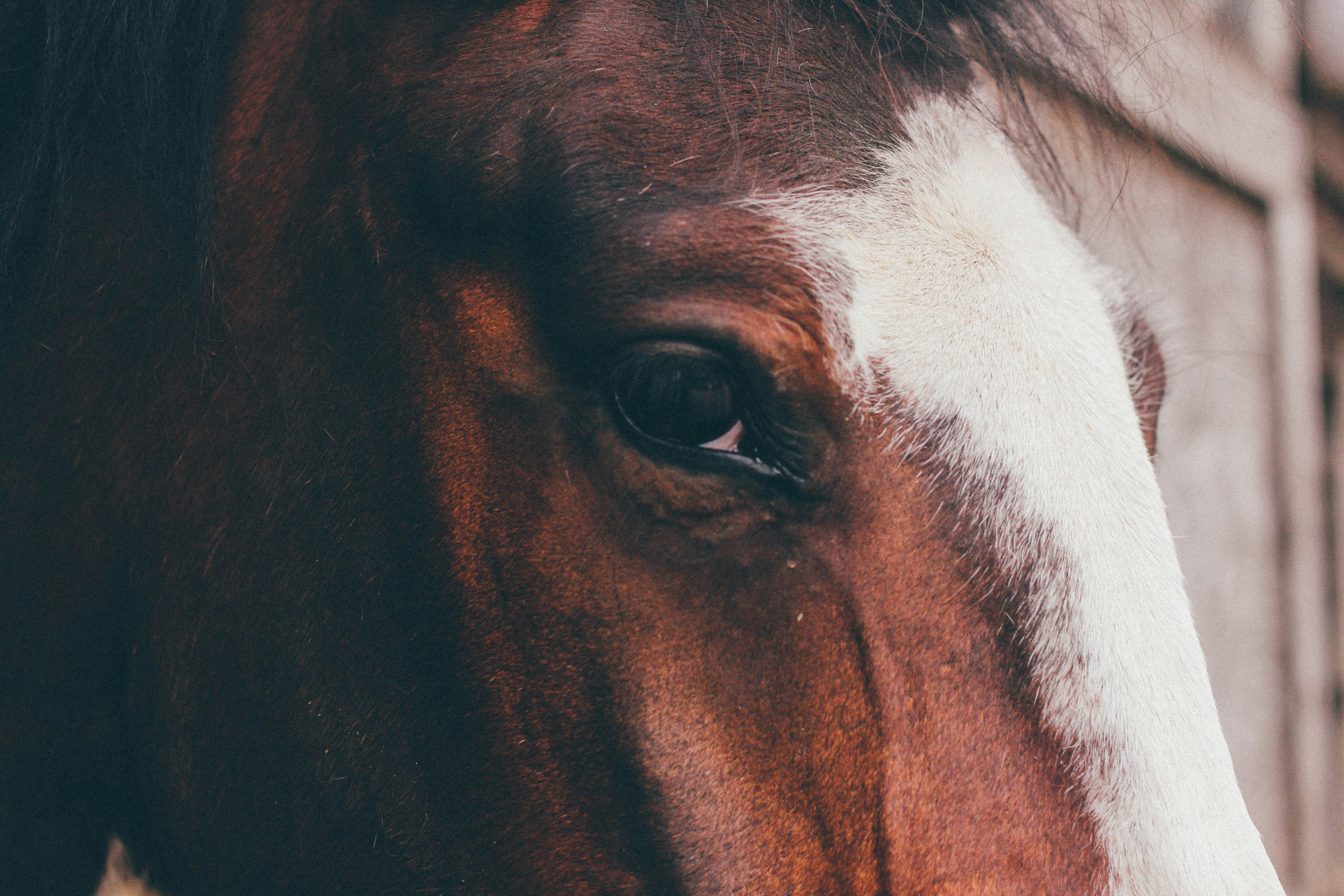 Photo by oliocreative