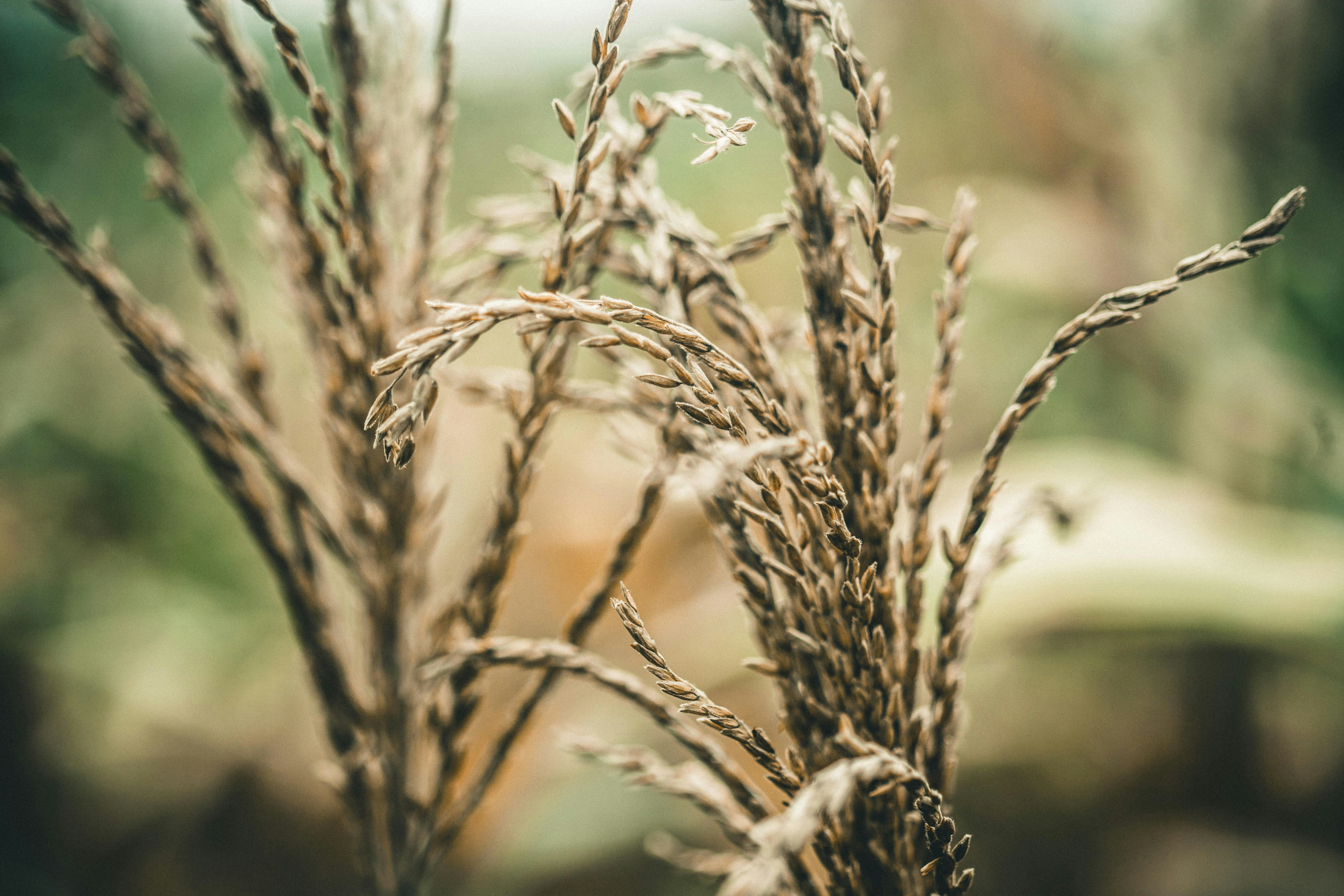 Photo by theroaddrifter