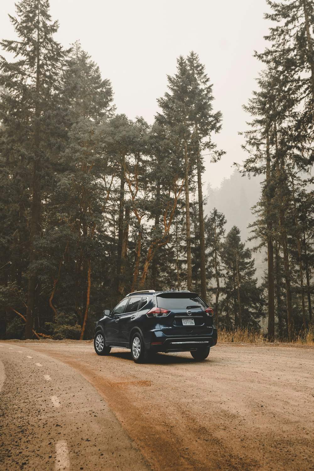 black SUV on road near trees during daytime