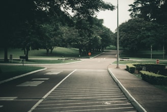 An outdoor scene depicting a calm road with traffic signs.