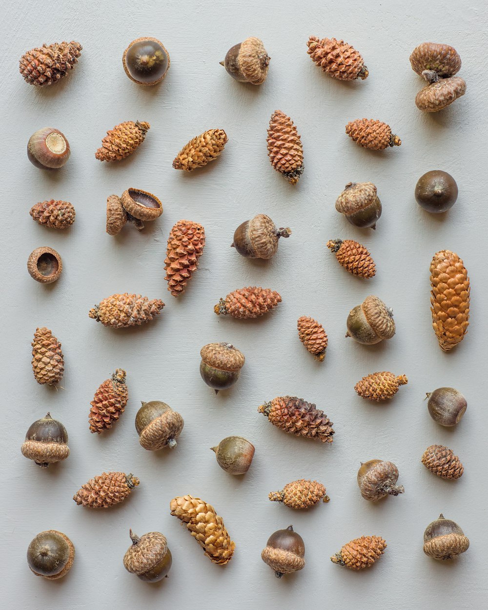 assorted chestnut and fruits