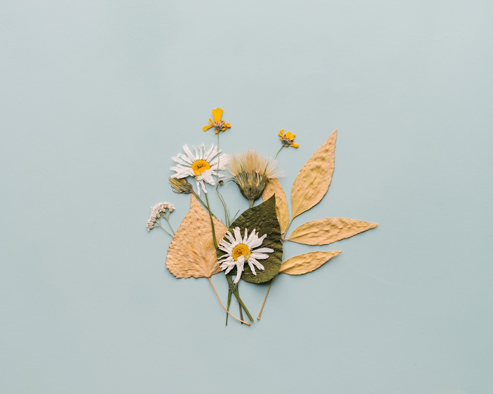 Dried Flower Pictures [HD] | Download Free Images on Unsplash