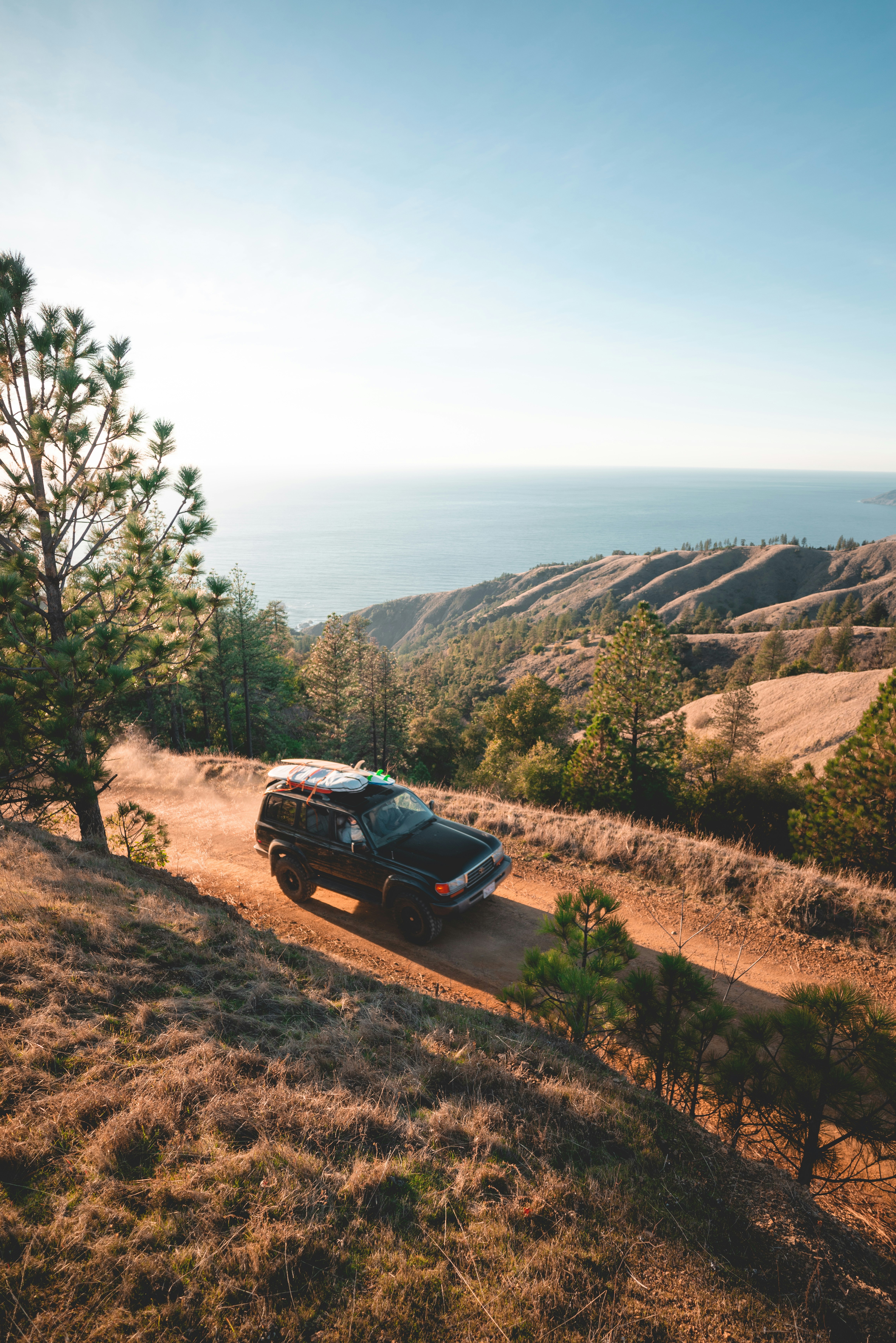 A Study in Bash Shell : Input