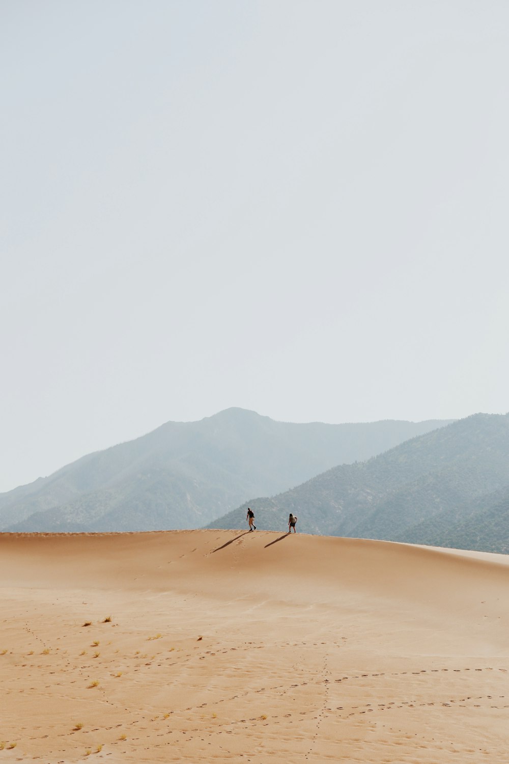 two person walking on dessert during daytime