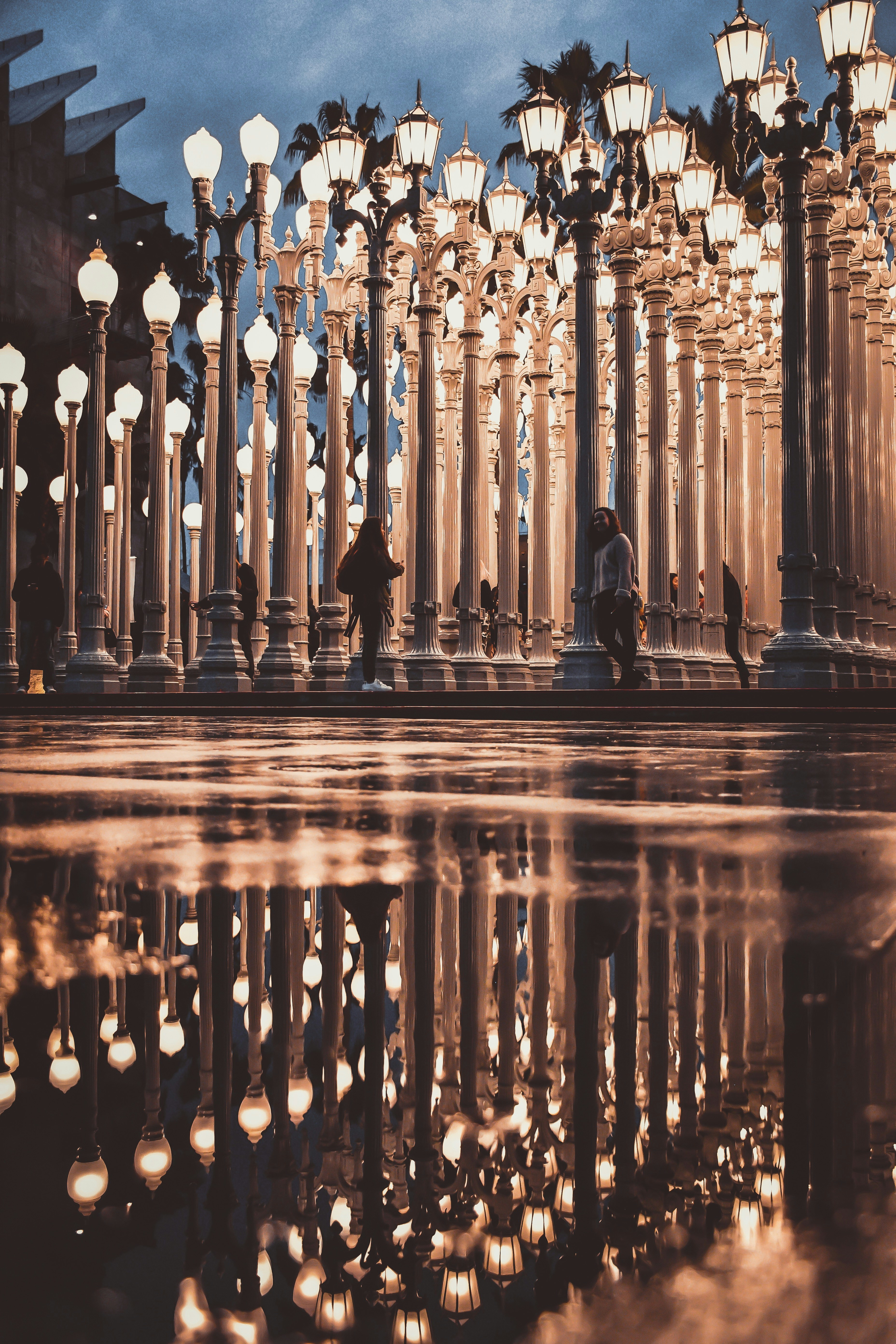 Photo by guss_bedolla