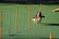 A brown and white dog is energetically weaving through a series of upright poles arranged on a green artificial turf. The poles are orange and gray, evenly spaced, and the dog appears focused and in motion as it participates in an agility course.