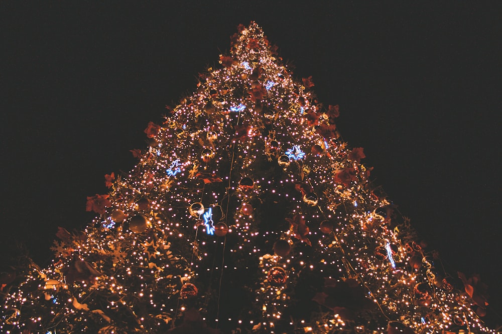 low angle photo of lighted Christmas tree